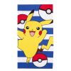 POKEMON - BEACH PIKA